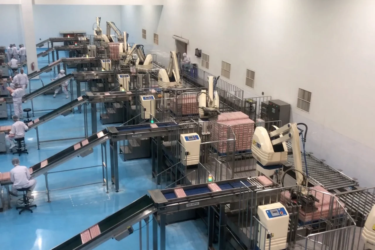 Robotic palletizing installation — project photograph 141